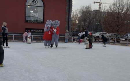 Мобильный каток Villa Dei Fiori фото 4