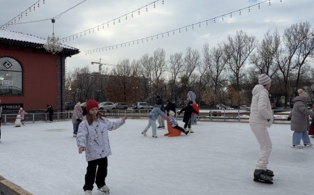 Мобильный каток Villa Dei Fiori фото 3