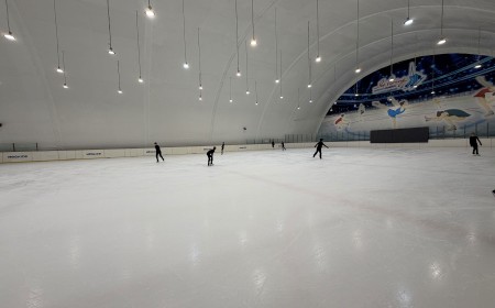 Крытый каток «Центральный стадион» фото 2