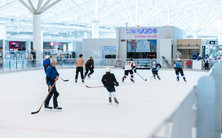 Ледовый каток ТЦ «Авиапарк» фото 8