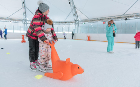 Каток на крыше ТЦ «Каширская Плаза» фото 7