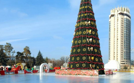 Мобильный каток «Дворец Республики» фото 1