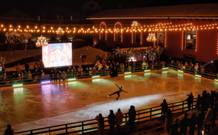 Мобильный каток Villa Dei Fiori фото 2